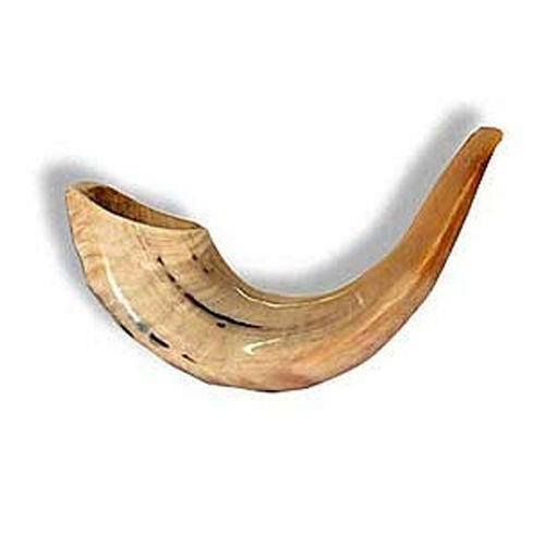 Shofar | 3 Strand Imports